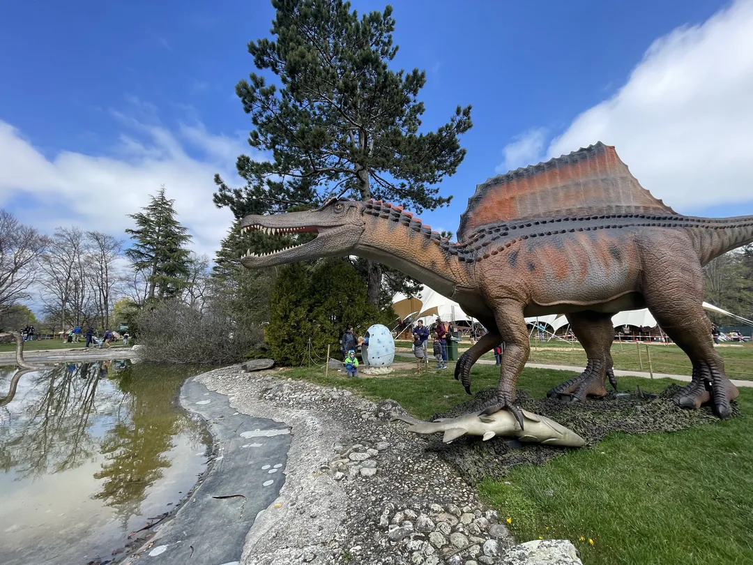 représentation d'un dinosaure Spinosaure - Dinoworld Expo