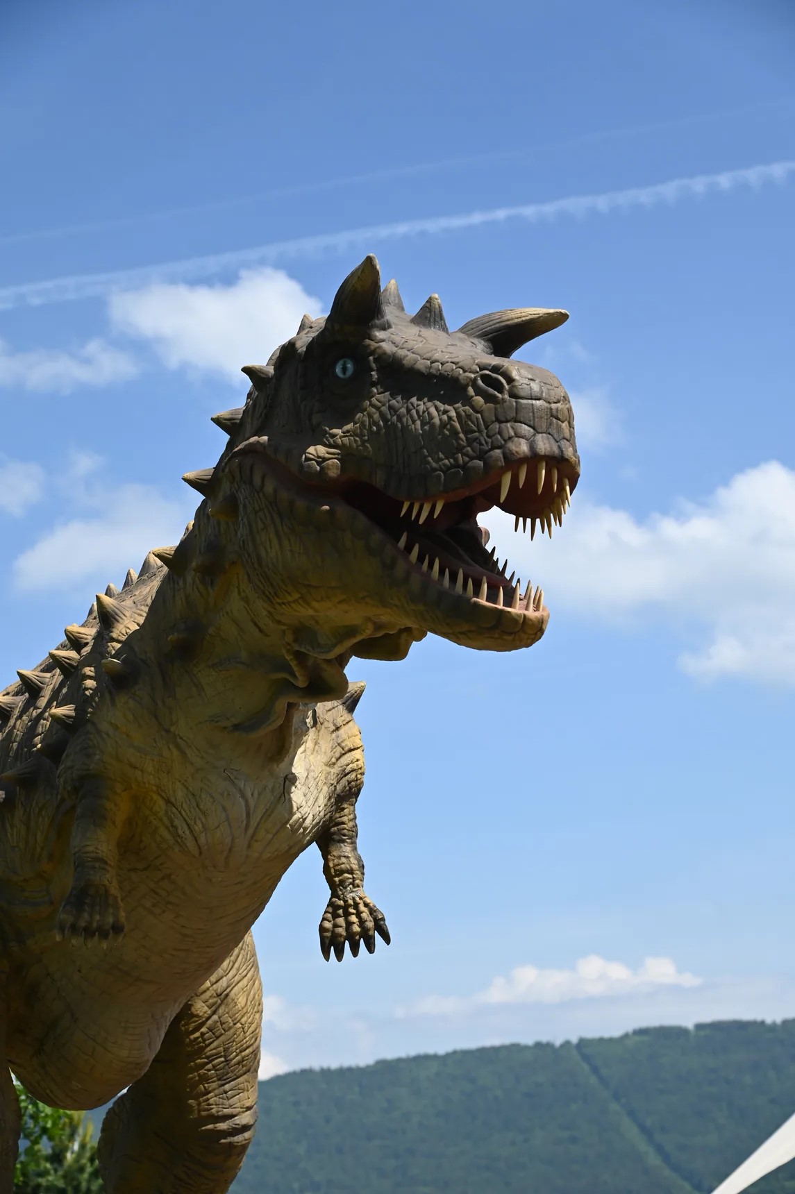 Planen Sie Ihren Besuch